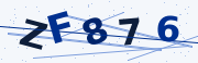 Verification code image