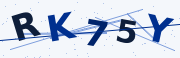 Verification code image