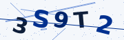 Verification code image
