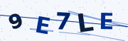 Verification code image