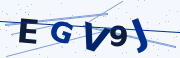Verification code image