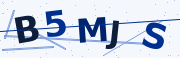Verification code image