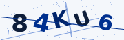 Verification code image