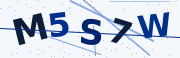 Verification code image