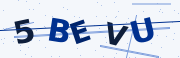 Verification code image