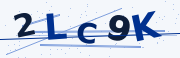 Verification code image