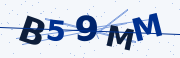 Verification code image