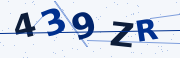 Verification code image